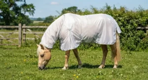 Palomino pony turned out in a sun-reflective white pony fly rug offering UV and insect protection