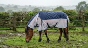 Pony wearing a hybrid pony fly rug featuring a waterproof top panel for unpredictable British weather