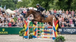 A competitor using a breastplate for eventing during the show jumping round