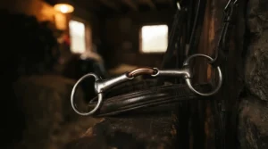 A shiny copper loose ring snaffle bit designed to encourage natural salivation and softness