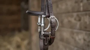 Close-up of a Cheltenham cheekpiece on a gag bit for strong horse control during cross-country schooling.