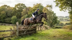 Approaching a solid timber fence on a keen hunter fitted with a gag bit for strong horse confidence.