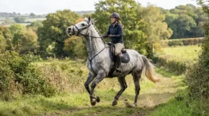 Using a running martingale for showjumping to maintain control over a powerful grey gelding.