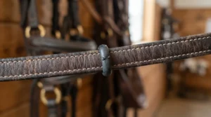 Detailed graphic showing rein stops on a running martingale vs standing martingale configuration.